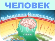 Мозг человека работает на частоте 7,83 Герца